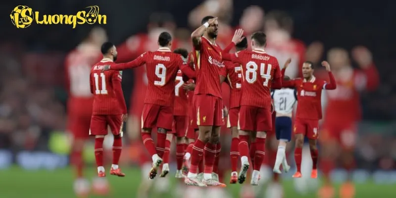 Liverpool Đấu Với Tottenham: Cơn Lốc Mạnh Mẽ Khiến Anfield Rung Động 3 Cody Gakpo mở đầu tỉ số